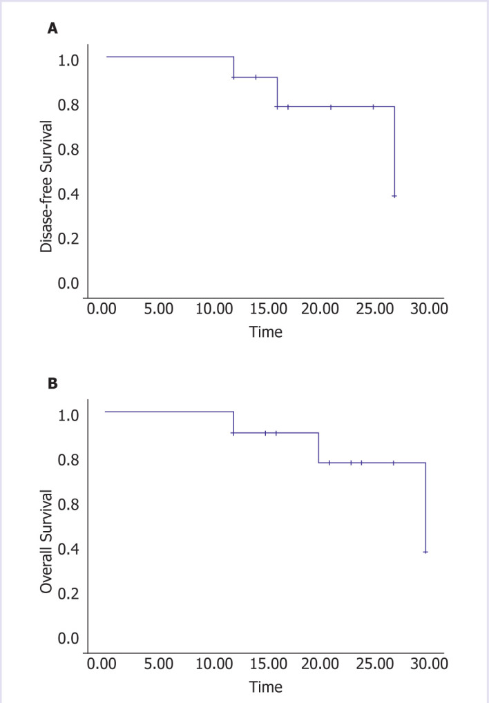 Trimodality therapy of malignant pleural mesothelioma with helical tomotherapy.