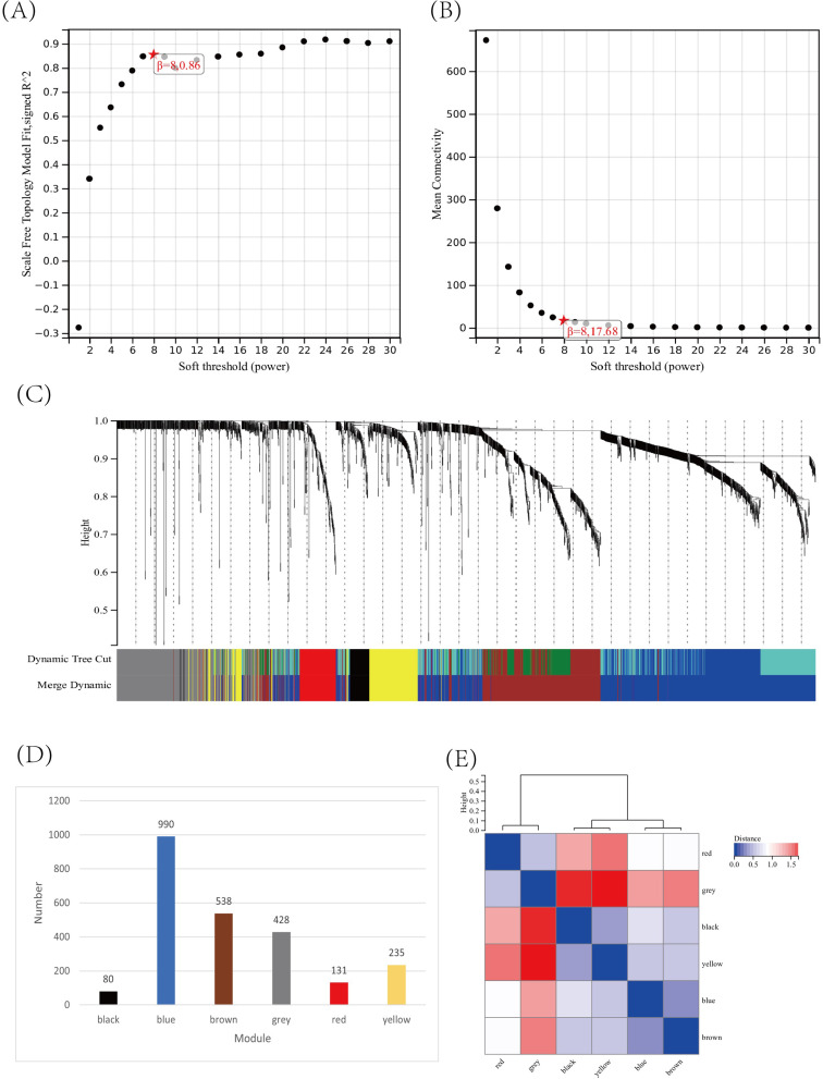 Exploration and Validation of Pancreatic Cancer Hub Genes Based on Weighted Gene Co-Expression Network Analysis and Immune Infiltration Score Analysis.