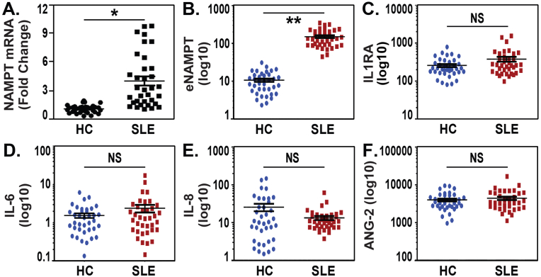 eNAMPT/TLR4 inflammatory cascade activation is a key contributor to SLE Lung vasculitis and alveolar hemorrhage