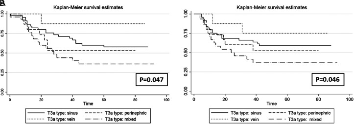 Oncologic Outcomes and Predictors in Patients with Stage PT3aNxM0 Renal Cell Carcinoma Following Radical Nephrectomy.