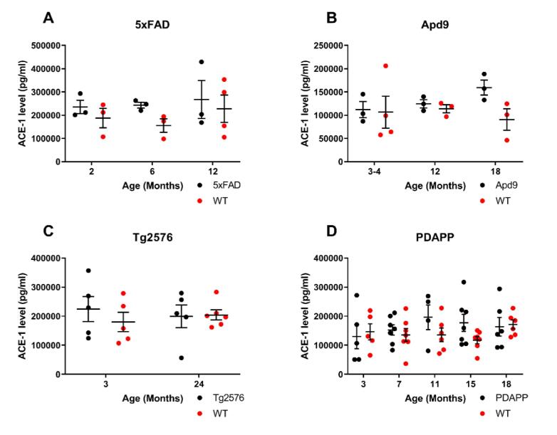 Age-related reduction in brain ACE-2 is not exacerbated by Alzheimer’s disease pathology in mouse models of Alzheimer’s disease