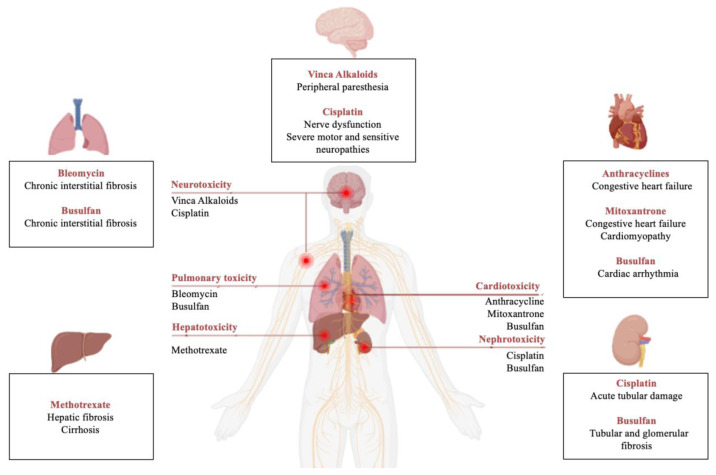 Therapy-related Myeloid Neoplasms: Considerations for Patients' Clinical Evaluation.