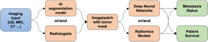 Application of artificial intelligence in predicting lymph node metastasis in breast cancer.