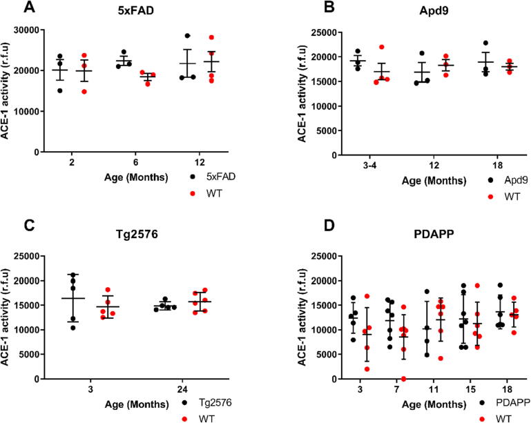 Age-related reduction in brain ACE-2 is not exacerbated by Alzheimer’s disease pathology in mouse models of Alzheimer’s disease