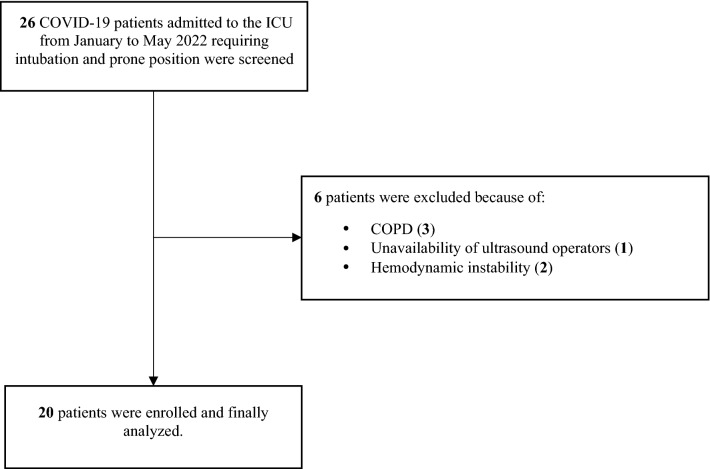 Lung ultrasound to evaluate aeration changes in response to recruitment maneuver and prone positioning in intubated patients with COVID-19 pneumonia: preliminary study.