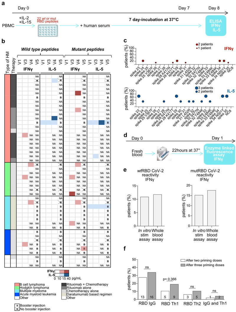 RBD- specific Th1 responses are associated with vaccine-induced protection against SARS-CoV-2 infection in patients with hematological malignancies.