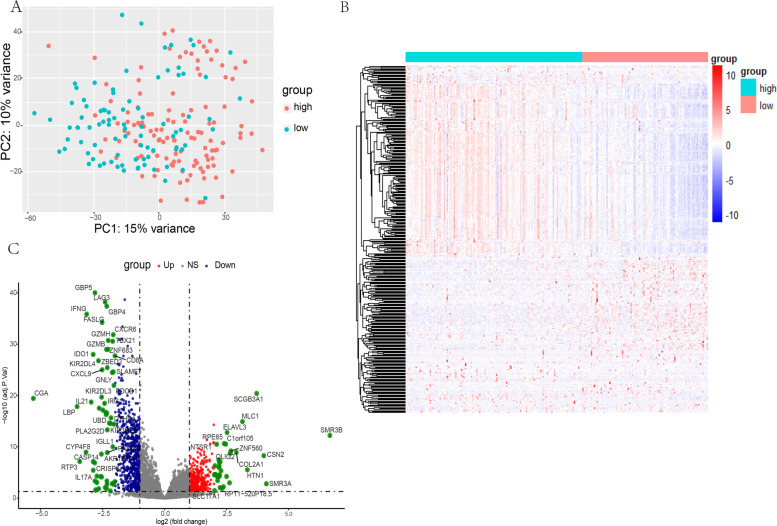 Identification of the prognostic value of Th1/Th2 ratio and a novel prognostic signature in basal-like breast cancer.