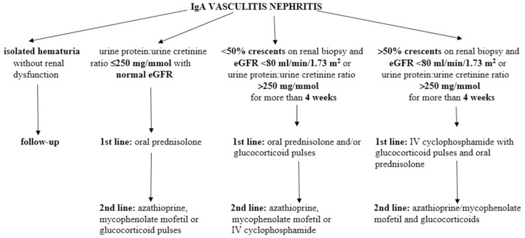 Diagnostic and Management Strategies of IgA Vasculitis Nephritis/Henoch-Schönlein Purpura Nephritis in Pediatric Patients: Current Perspectives.