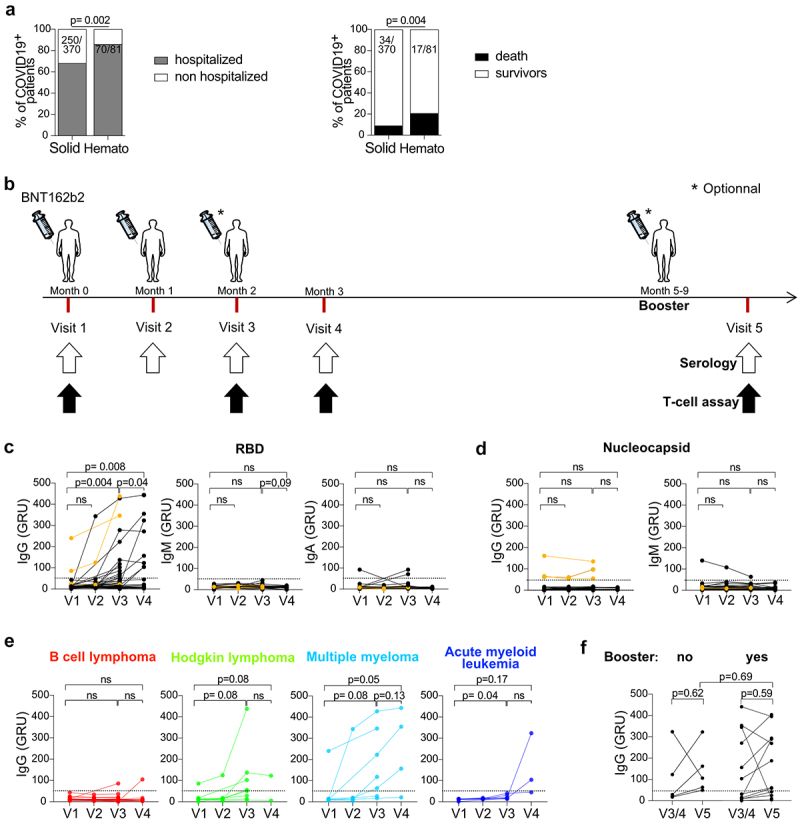 RBD- specific Th1 responses are associated with vaccine-induced protection against SARS-CoV-2 infection in patients with hematological malignancies.