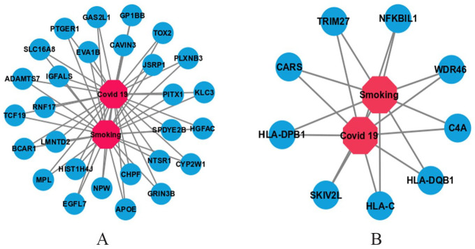 Molecular Biomarker Identification Using a Network-Based Bioinformatics Approach That Links COVID-19 With Smoking.