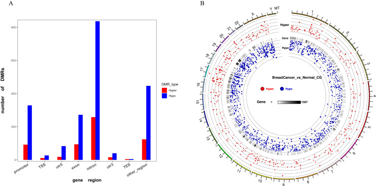 Promoter Methylation-Regulated Differentially Expressed Genes in Breast Cancer.