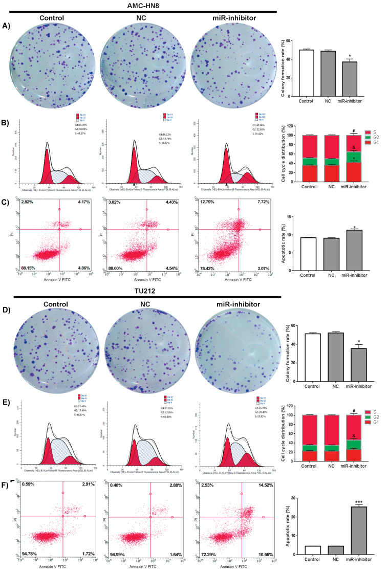 <i>MiRNA-106a-5p</i> Promotes Laryngeal Carcinoma Proliferation and Migration Through <i>PI3K/AKT/m-TOR</i> Pathway by <i>AKTIP</i>.