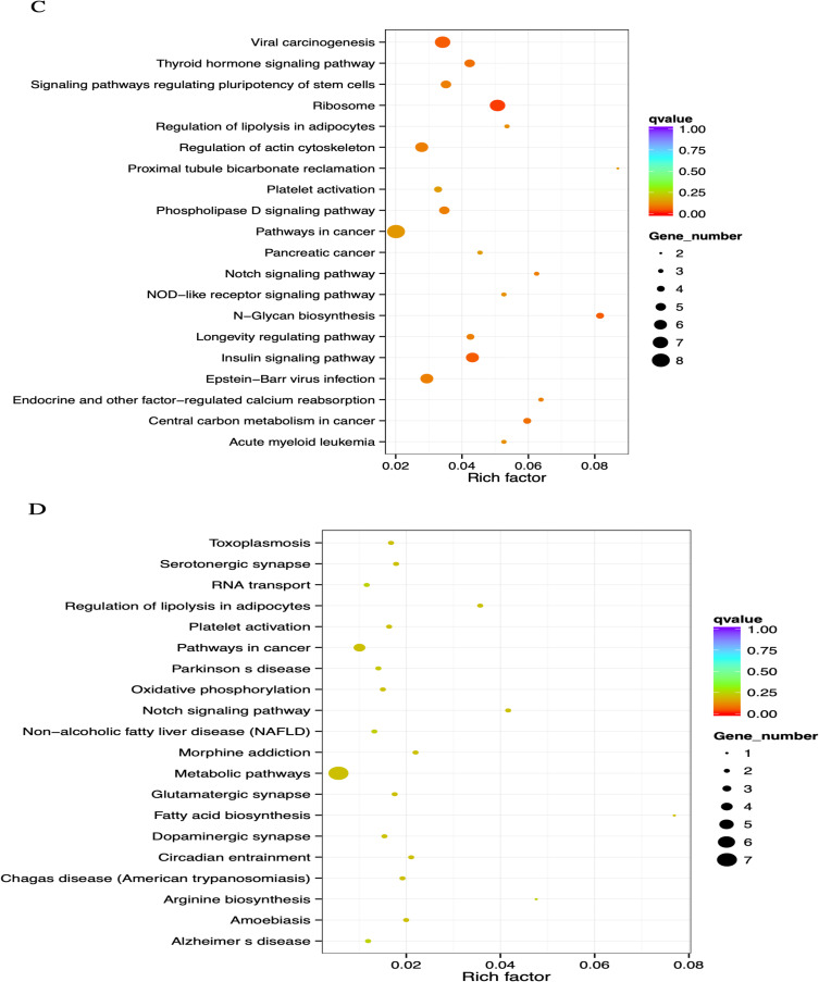 Promoter Methylation-Regulated Differentially Expressed Genes in Breast Cancer.