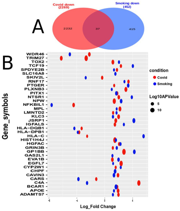 Molecular Biomarker Identification Using a Network-Based Bioinformatics Approach That Links COVID-19 With Smoking.