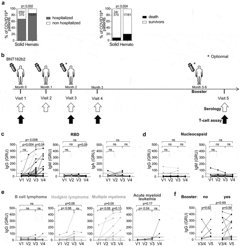 RBD- specific Th1 responses are associated with vaccine-induced protection against SARS-CoV-2 infection in patients with hematological malignancies.