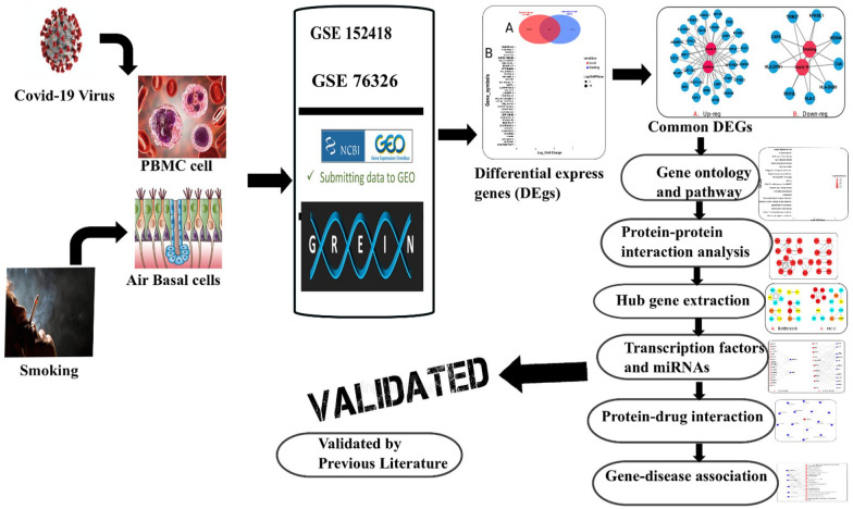 Molecular Biomarker Identification Using a Network-Based Bioinformatics Approach That Links COVID-19 With Smoking.