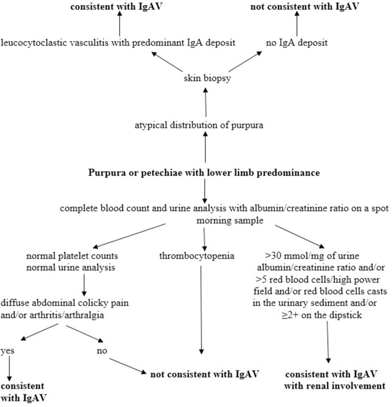 Diagnostic and Management Strategies of IgA Vasculitis Nephritis/Henoch-Schönlein Purpura Nephritis in Pediatric Patients: Current Perspectives.