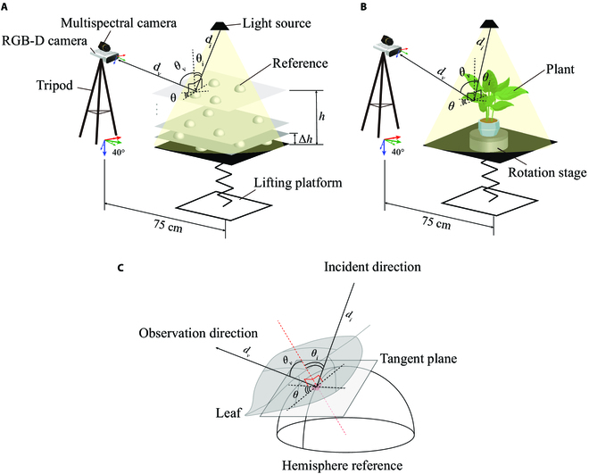 Generating 3D Multispectral Point Clouds of Plants with Fusion of Snapshot Spectral and RGB-D Images.