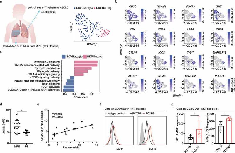 Altered phenotypic and metabolic characteristics of FOXP3<sup>+</sup>CD3<sup>+</sup>CD56<sup>+</sup> natural killer T (NKT)-like cells in human malignant pleural effusion.