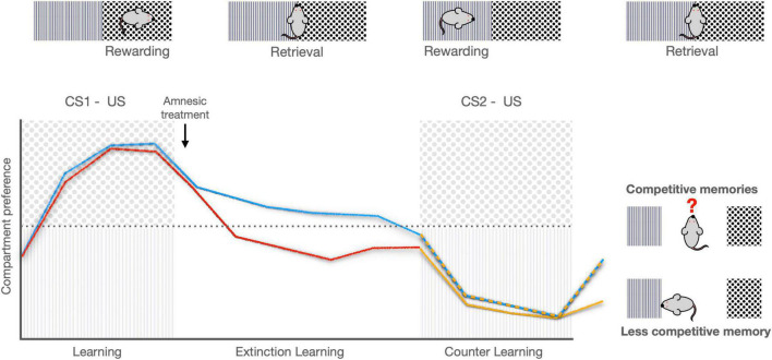 Transforming experiences: Neurobiology of memory updating/editing.