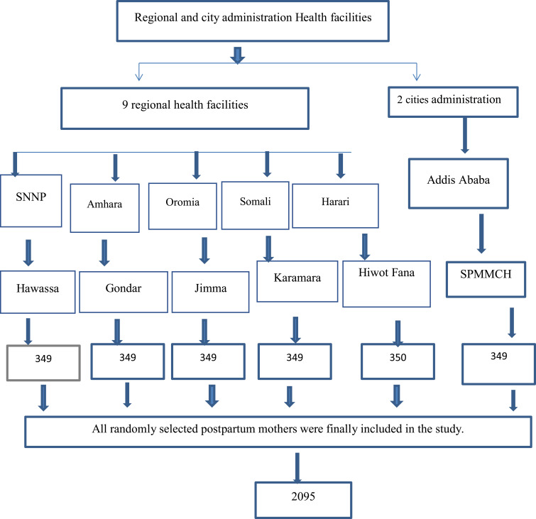 Effectiveness of Lactational Amenorrhea Method in Ethiopia: A Multi-Center Prospective Cohort Study.