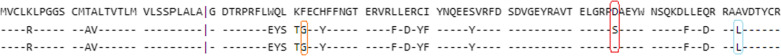 HLA alleles associated with COVID-19 susceptibility and severity in different populations: a systematic review.