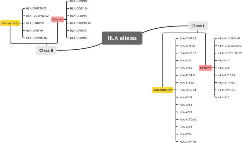 HLA alleles associated with COVID-19 susceptibility and severity in different populations: a systematic review.