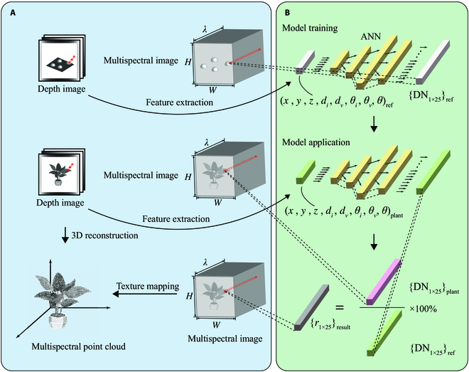 Generating 3D Multispectral Point Clouds of Plants with Fusion of Snapshot Spectral and RGB-D Images.