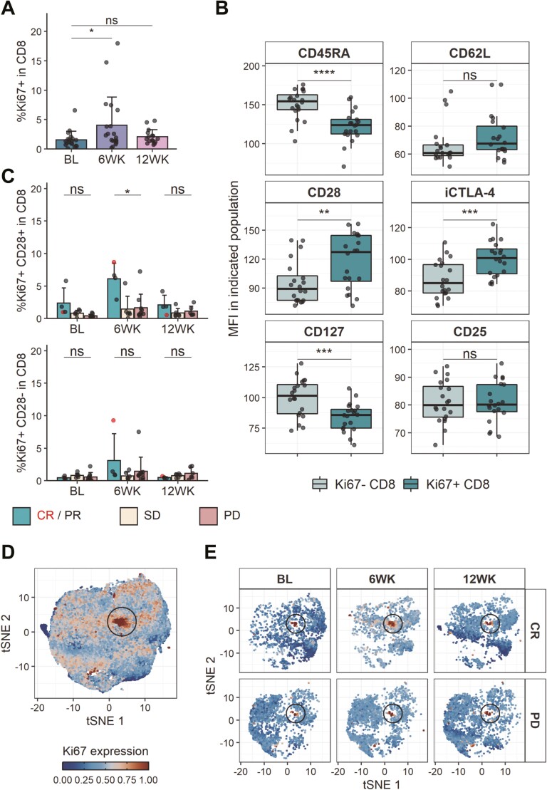 Stratification of PD-1 blockade response in melanoma using pre- and post-treatment immunophenotyping of peripheral blood.