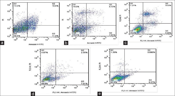 Study of the Apoptotic Impacts of Hazelnut Oil on the Colorectal Cancer Cell Line.