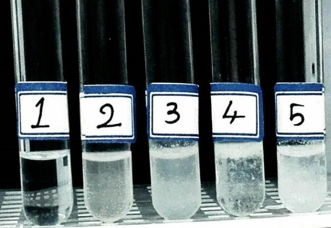 Mode of binding, kinetic and thermodynamic properties of a lipid-like drug (Fingolimod) interacting with Human Serum Albumin.