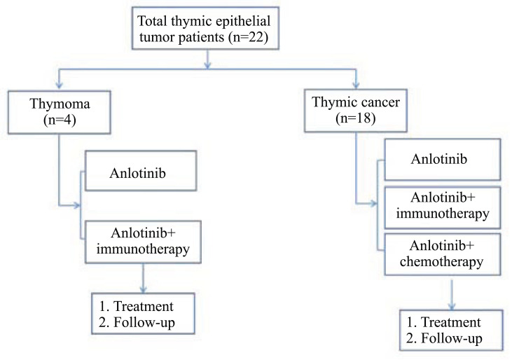 The Efficacy and Safety of Anlotinib Alone and in Combination with Other Drugs in Previously Treated Advanced Thymic Epithelia Tumors: A Retrospective Analysis.