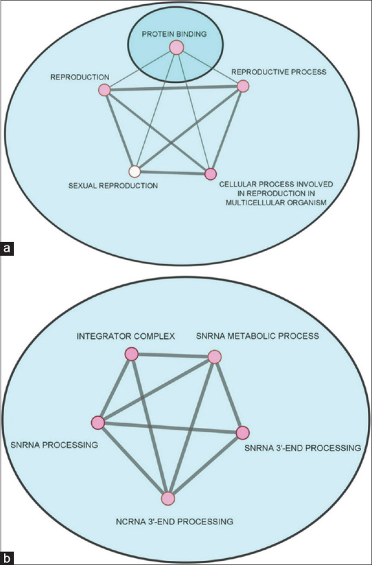 Identification of Cancer/Testis Antigens Related to Gastric Cancer Prognosis Based on Co-Expression Network and Integrated Transcriptome Analyses.