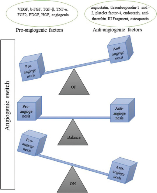 The Effect of Stem Cells and Vascular Endothelial Growth Factor on Cancer Angiogenesis.