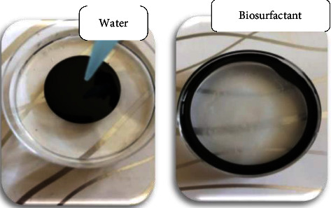 Optimization and Chemical Characterization of Biosurfactant Produced from a Novel <i>Pseudomonas guguanensis</i> Strain Iraqi ZG.K.M.