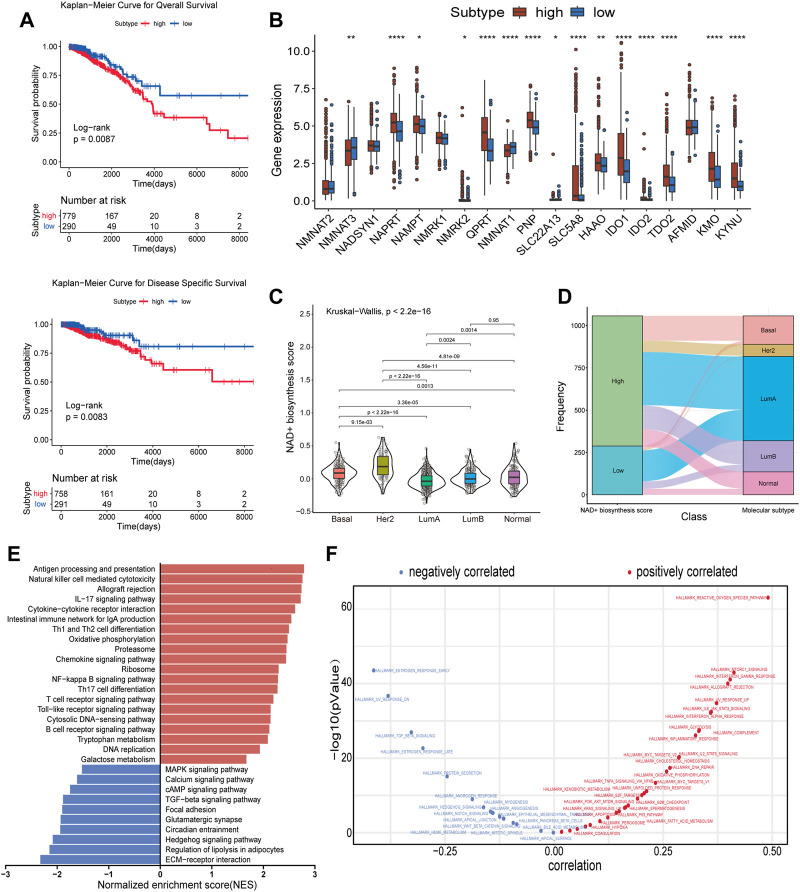 NAD+ biosynthesis metabolism predicts prognosis and indicates immune microenvironment for breast cancer.