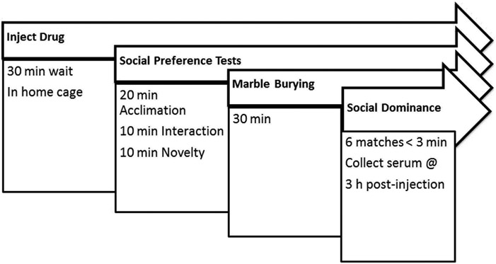 Acute cannabidiol treatment enhances social interaction in adult male mice.