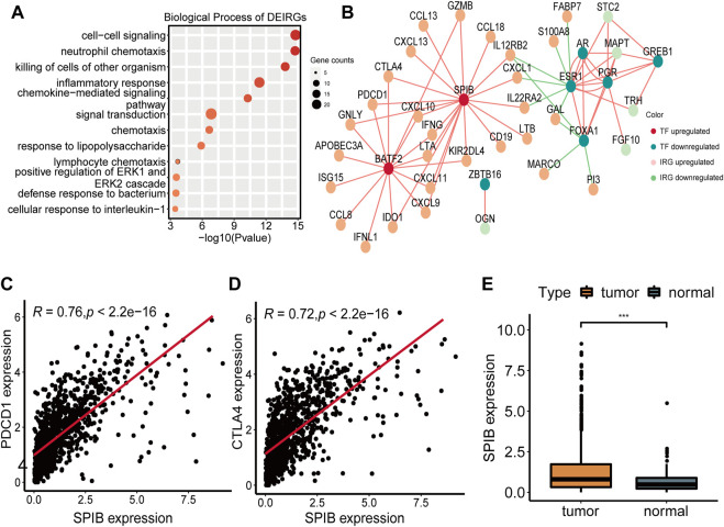 NAD+ biosynthesis metabolism predicts prognosis and indicates immune microenvironment for breast cancer.