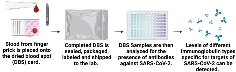 Determining the Longitudinal Serologic Response to COVID-19 Vaccination in the Chronic Kidney Disease Population: A Clinical Research Protocol.