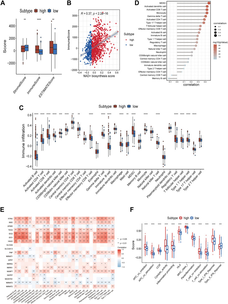 NAD+ biosynthesis metabolism predicts prognosis and indicates immune microenvironment for breast cancer.