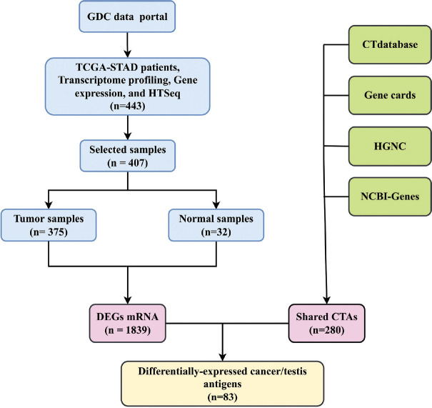 Identification of Cancer/Testis Antigens Related to Gastric Cancer Prognosis Based on Co-Expression Network and Integrated Transcriptome Analyses.