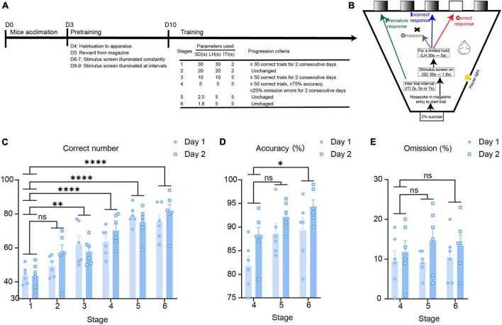 CaMKIIα neurons in the anterior insular cortex regulate attention behavior in mice.