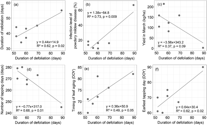 The legacy effects of rubber defoliation period on the refoliation phenology, leaf disease, and latex yield