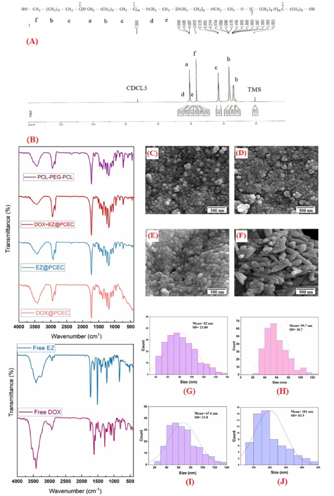 PCL-based nanoparticles for doxorubicin-ezetimibe co-delivery: A combination therapy for prostate cancer using a drug repurposing strategy.