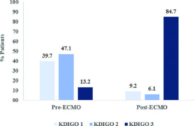 Factors associated with acute kidney injury in patients undergoing extracorporeal membrane oxygenation: retrospective cohort.