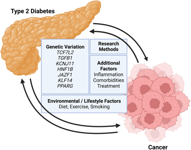 Exploring genetic loci of type 2 diabetes and cancer: a review.