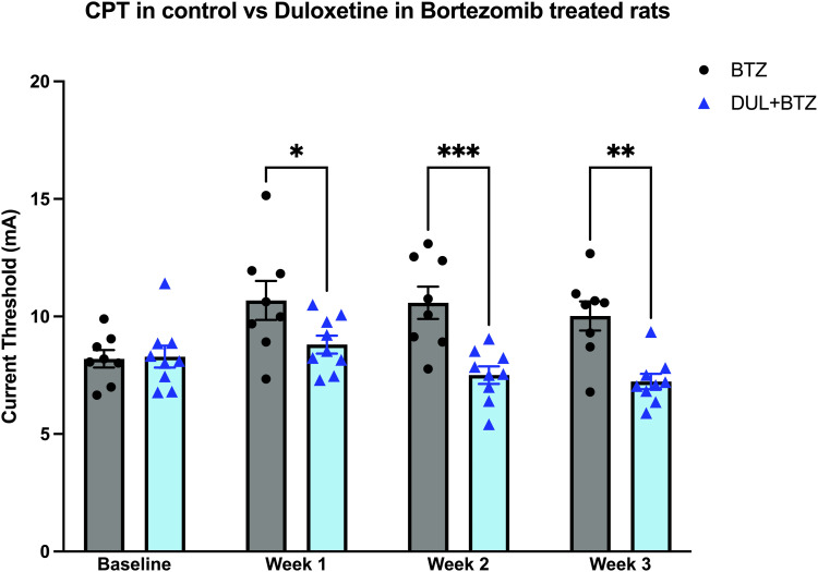 Duloxetine prevents bortezomib and paclitaxel large-fiber chemotherapy-induced peripheral neuropathy (LF-CIPN) in sprague dawley rats.