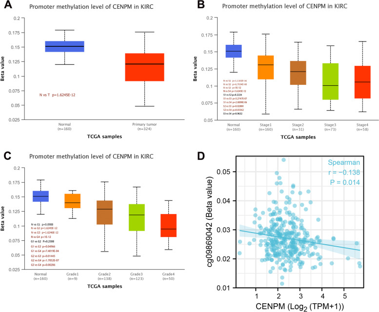 Upregulation of CENPM is associated with poor clinical outcome and suppression of immune profile in clear cell renal cell carcinoma.