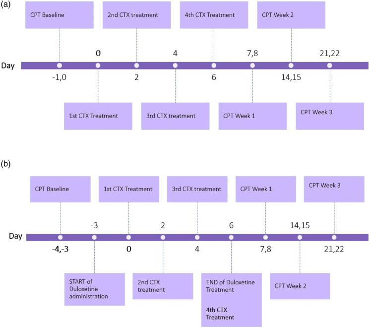 Duloxetine prevents bortezomib and paclitaxel large-fiber chemotherapy-induced peripheral neuropathy (LF-CIPN) in sprague dawley rats.