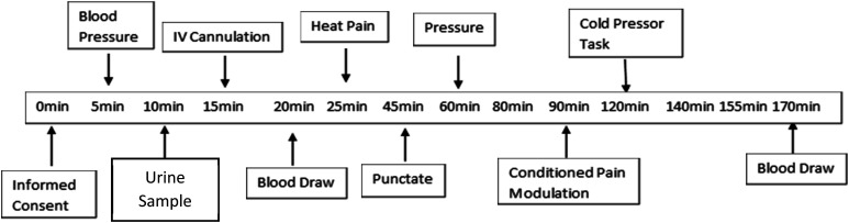 Mitochondrial reactivity following acute exposure to experimental pain testing in people with HIV and chronic pain.